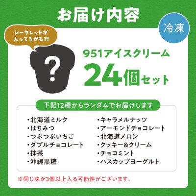 【福袋】951アイスクリーム　24個セット_hs359-032