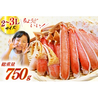 かに カット済生ずわいがに むき身 750g(正味重量600g) 20565652 ◎