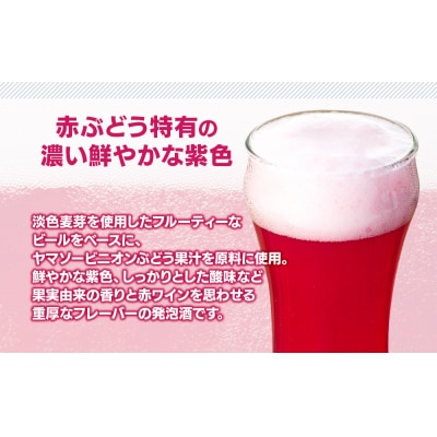 南信州地ビール『ヤマソーホップ』6本セット