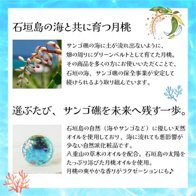 幸-美彩-さちちゅらいろ 月桃バーム(30g)