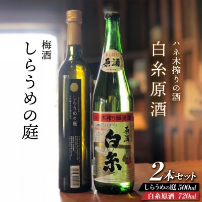 ハネ木搾りの酒と梅酒のセットしらうめ「香」 糸島市/白糸酒造[AVA003]
