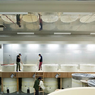 ハネ木搾りの酒と梅酒のセットしらうめ「香」 糸島市/白糸酒造[AVA003]