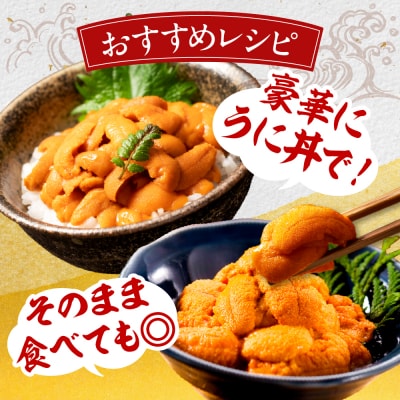 【数量限定】塩水エゾバフンウニ 北海道えりも産 生食用の濃厚旨み とろける食感100g【er004-