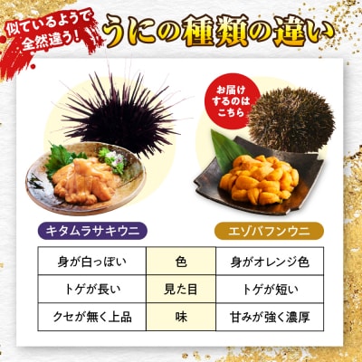 【数量限定】塩水エゾバフンウニ 北海道えりも産 生食用の濃厚旨み とろける食感100g【er004-