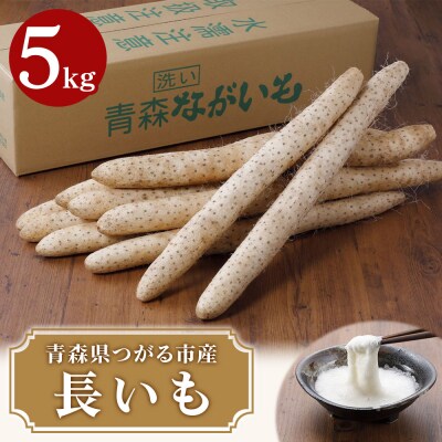 青森県つがる市産 長いも5kg|長芋 長いも ながいも [0604]
