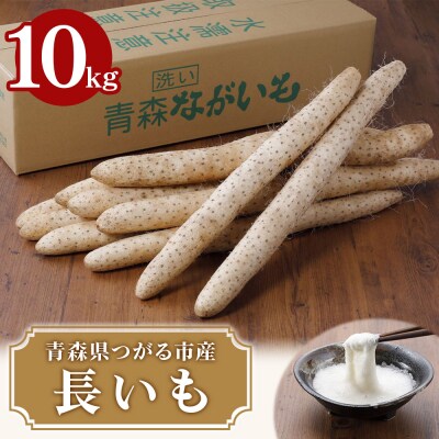 青森県つがる市産 長いも10kg|長芋 長いも ながいも [0605]
