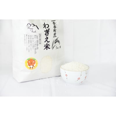 わぎえ米　13kg