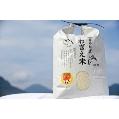わぎえ米　13kg
