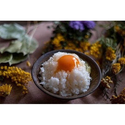 【令和4年産】大自然米　無洗米450g×2個