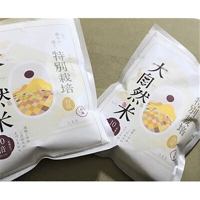 【令和4年産】大自然米　無洗米450g×2個
