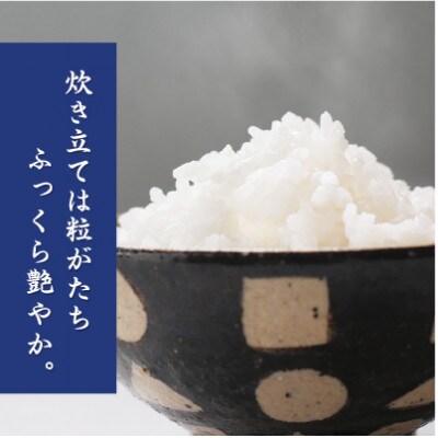 山のお水で作った元気つくし5kg