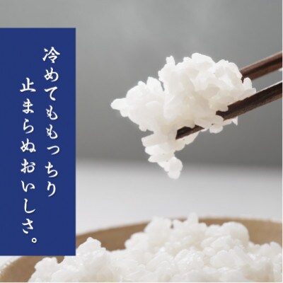山のお水で作った元気つくし5kg