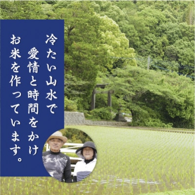 山のお水で作った元気つくし5kg