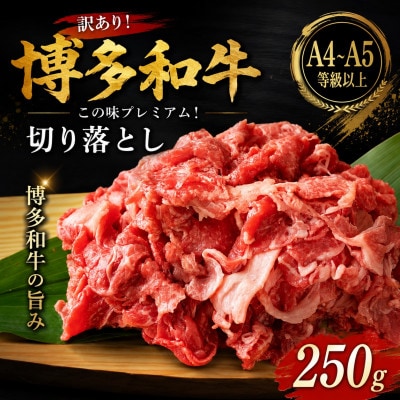 訳あり!【A4～A5】この味プレミアム!博多和牛切り落とし　250g(香春町)