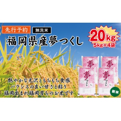 《無洗米》【新米　8年産】9月～出荷【食味鑑定士厳選】福岡県 夢つくし20k(5k×4袋)(香春町)