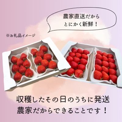 【先行予約】福岡県産あまおう 約270g×4パック(香春町)