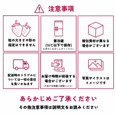 【先行予約】福岡県産あまおう 約270g×4パック(香春町)