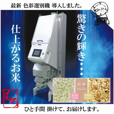 令和7年産 大山しらゆき米10kg(精白、コシヒカリ)