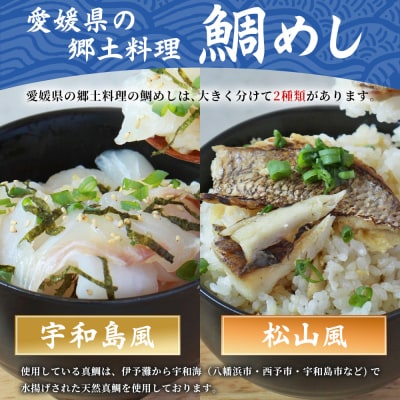 <愛媛の鯛めし食べ比べセット(2セット)> 愛媛の鯛めし 鯛 真鯛 まだい マダイ