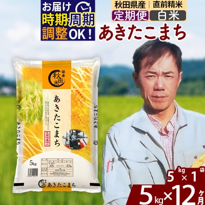 令和7年産《定期便12ヶ月》あきたこまち 5kg【白米】|msrf-10312