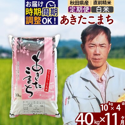 令和7年産《定期便11ヶ月》秋田県産あきたこまち40kg【白米】|msrf-11111