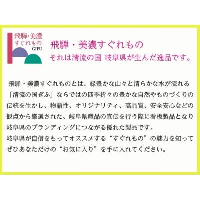 濃州正宗作 鋼和包丁2点セット(出刃+刺身)(専用砥石+研ぎ方DVD付き)【飛騨美濃す