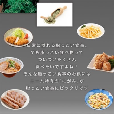 ニーム健康茶 48本(500ml24本入×2ケース) ～健康 お茶 ハーブティー～