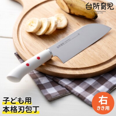 子ども用包丁 【右利き】(DI-101) ～台所育児 誕生日プレゼント 進級祝い 入学