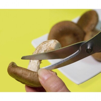 ＜アイディア製品＞ 刃先を浮かせて置けるキッチンバサミ  ～食洗機対応 カーブ・ギザ刃で切りやすい
