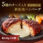 5種のチーズ入り鉄板焼ハンバーグ(デミグラスソース)16個