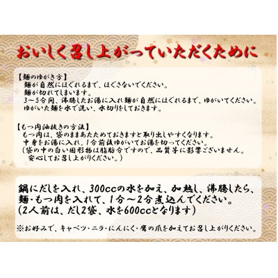 博多もつ鍋煮込みうどん(2人前×5箱)