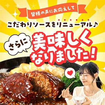 鉄板焼ハンバーグ(デミソース)10個セット