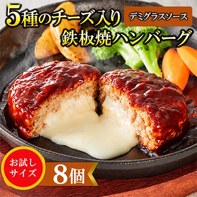 5種のチーズ入り鉄板焼ハンバーグ(デミグラスソース)8個セット