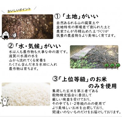 嘉穂盆地米2種セット(夢つくし・元気つくし)(計6kg)(精米)