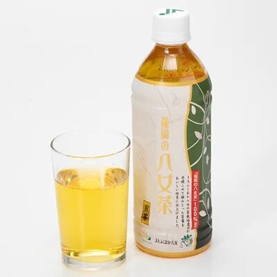 【毎月定期便】八女茶　煎茶ペットボトル　500ml×24本全6回