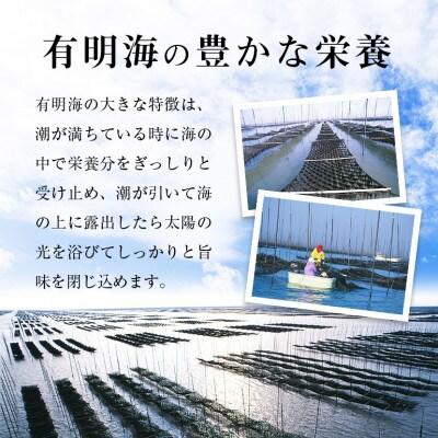 【毎月定期便】有明海産　焼き海苔ボトル4本 (10切100枚×4本計400枚)【福岡有明のり】全6回