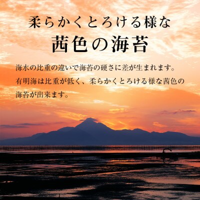 【毎月定期便】有明海産　焼き海苔ボトル4本 (10切100枚×4本計400枚)【福岡有明のり】全6回