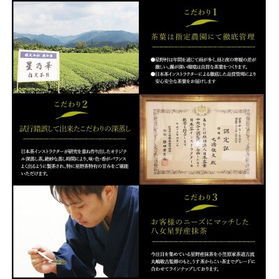 【毎月定期便】八女星野産 玉露ティーバッグ2.5g×100個【八女茶】全6回