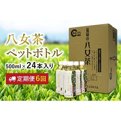2022年2月発送開始『定期便』八女茶　煎茶ペットボトル　500ml×24本　定期便6ヶ月全6回