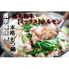 九州産黒毛和牛もつ鍋セット(濃厚極味噌)2人前