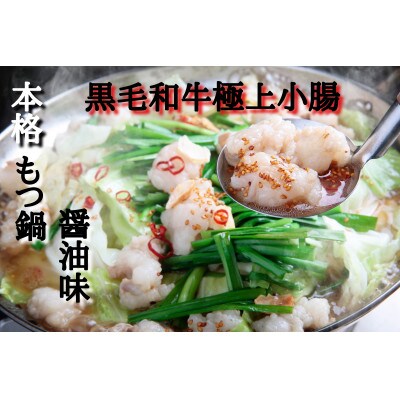 極上小腸もつ鍋セット(醤油)2～3人前