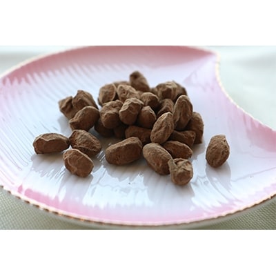 生チョコみたいなしっとり大豆(九州産フクユタカ大豆使用)17g 10袋×2箱(計20袋)