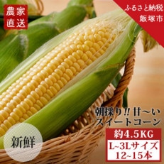 農家直送 甘~い朝採りスイートコーン(L~3Lサイズ:12本~15本)約4.5kg レシピ付き