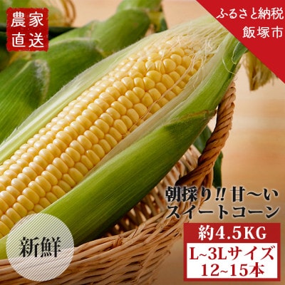 農家直送　甘~い朝採りスイートコーン(L~3Lサイズ:12本~15本)約4.5kg レシピ付き