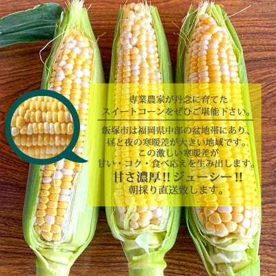 農家直送　甘~い朝採りスイートコーン(L~3Lサイズ:12本~15本)約4.5kg レシピ付き