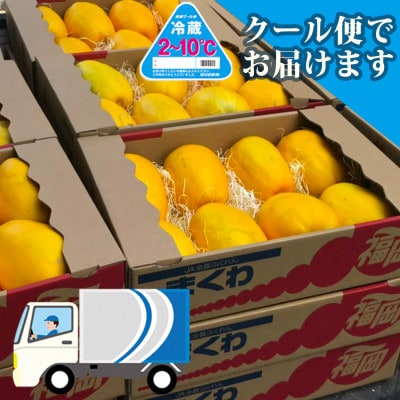 【2025年7月下旬より発送】農家直送 程よい甘さのマクワウリ約3.5kg (8～12個)
