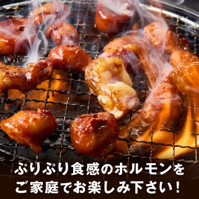 【秘伝の旨タレ】牛しろコロホルモン(200g×11パック)