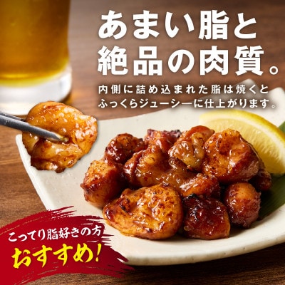【秘伝の旨タレ】牛しろコロホルモン(200g×11パック)