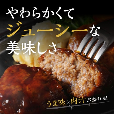 【湯煎で簡単調理!】博多和牛熟成ハンバーグ/特製デミソース　150g×8個