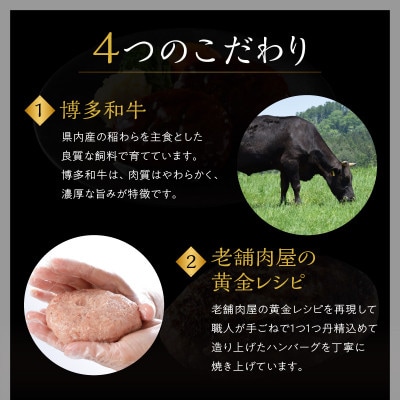 【レンジ対応!】博多和牛熟成ハンバーグ/特製デミソース (10個入り)